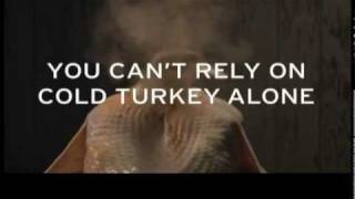 1 800 Quit Now Commercial quotCold Turkeyquot [upl. by Dewie]