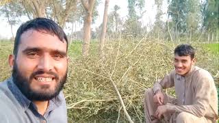 aj da din boht sakhat c boht mehnat krni py gi latest Punjabi village vlogs in Pakistanvlogs [upl. by Aunson]