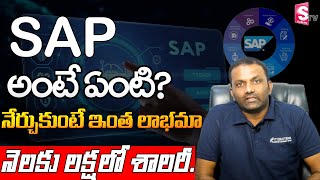 SAP Course Job Opportunities in Telugu  4 Best SAP Online Platforms for fresher and experienced [upl. by Gordy786]