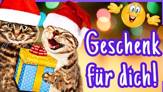 Frohe Weihnachten 🎄 WITZIGE Weihnachtsgrüße als GEDICHT 😻 [upl. by Munroe]