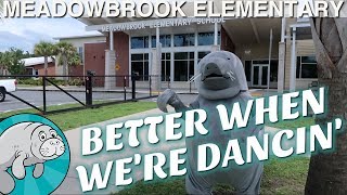 Teachers End of Year Dance Video 2018  Meadowbrook Elementary [upl. by Analiese]