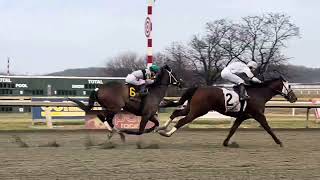 Jackson Road amp apprentice jockey Francisco Martinez come flying to win for trainer Kate DeMasi [upl. by Hsemin]