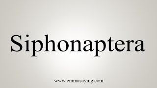 How To Say Siphonaptera [upl. by Zulch]