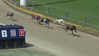 Gawler11092024Race6 [upl. by Selda]