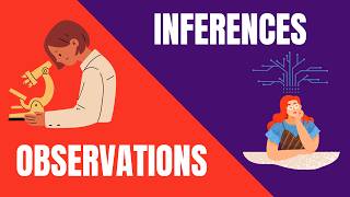 Observations and Inferences Whats the Difference [upl. by Natale]