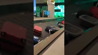 Airport lo luggage belt shortsytshortsairport GnanAnjali Vlogs [upl. by Anderea315]