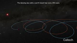 The brown dwarf Gliese 229B binary motion [upl. by Oetam]