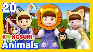 Kongsuni Animal song  More  Animal Collection  Song For Kids [upl. by Jeddy295]