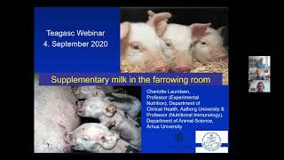 Lets Talk Pigs Webinar  Supplementary milk in the farrowing room [upl. by Notsae]