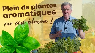 Comment cultiver des plantes aromatiques sur un balcon  Conseils plantation exposition exigences [upl. by Drabeck]