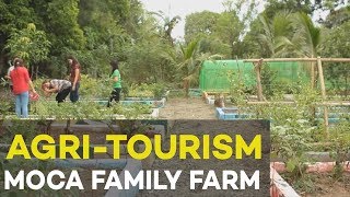 Agri tourism MoCa Family Farm Agribusiness Ideas in the Philippines [upl. by Enehpets]