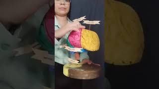 video de maqueta de cerebro [upl. by Yffat731]