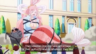 One Piece Episode 1117 full introduction English Sub [upl. by Anora]