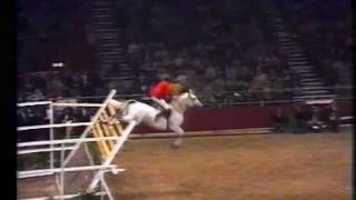 Nick Skelton on Lastic  Record jump on 232 m [upl. by Evelyn]