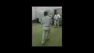 Shodokan Aikido Steve Trout Sensei [upl. by Bond]