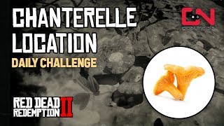 RDR2 Online  Pick 5 Chanterelles Daily Challenge  Chanterelle Location [upl. by Ludvig]