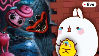 Molang and Piu Piu POPPY PLAYTIME Marathon  LIVE 🔴 [upl. by Notwal]