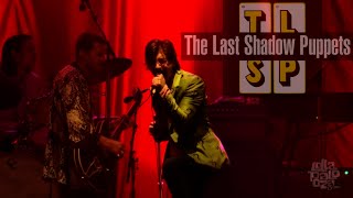 quotTHE LAST SHADOW PUPPETSquot LIVE at Lollapalooza Chicago 2016 [upl. by Ardeahp]