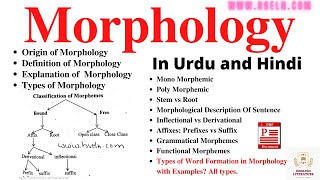 Morphology Word Formation In Morphology Morphological Analysis Sentence Types Of Morpheme PDF [upl. by Loralyn]