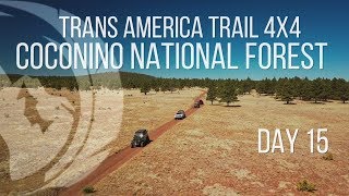 Coconino National Forest  Trans America Trail 4x4 Overland  Day 15 [upl. by Ellinej]