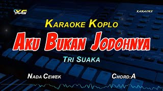 AKU BUKAN JODOHNYA KARAOKE KOPLO NADA CEWEK [upl. by Singhal92]