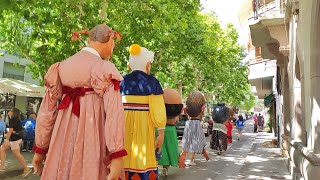 trobada de gegants de solsona 25 anys de la colla gegantera del carnaval de solsona completa [upl. by Yci]