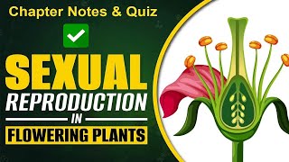 Reproduction in Flowering Plants  Class 12 Biology NCERT for Board amp NEET [upl. by Stephan]