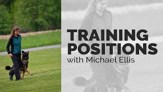 Training Positions with Michael Ellis [upl. by Nivlem672]