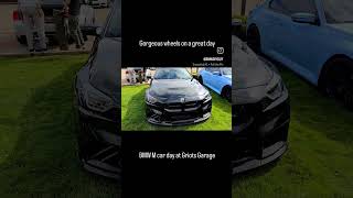 All the pretty cars come outbmwdiyguy griotsgarage [upl. by Bordiuk]