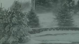 Epic Snowstorm  10 Hours Version  Howling Blizzard Sounds  Heavy Wind  Perfect Sounds For Sleep [upl. by Bobby568]