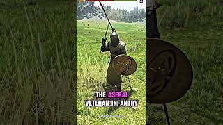 TOP 5 Infantry units in Mount and Blade 2 Bannerlord gaming [upl. by Nicolella695]