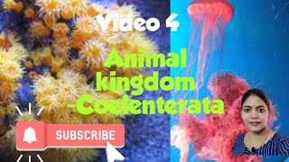 Animal kingdom l phylum coelenterata l Class 11 NCERT NEET Biology chapter 4 l [upl. by Nevuer548]