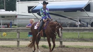 FOR SALE  2012 AQHA gelding by Sudden Instinct [upl. by Laney505]