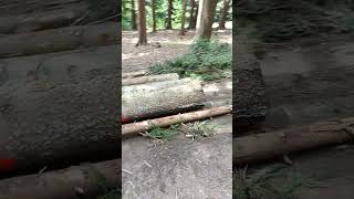 Kapsen 18 RC  železný kůň forest horse 👍 [upl. by Nali]