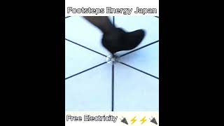 Footstep Energy JapanFree Electricityelectricity foorstep japan trendingvideo foryoupage [upl. by Eaton]