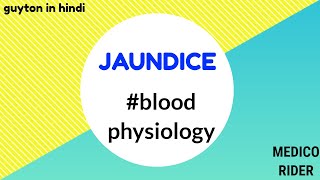 JAUNDICE PHYSIOLOGY  hemolytic  hepaticobstructive jaundice guytoninhindi bloodphysiology [upl. by Norved311]