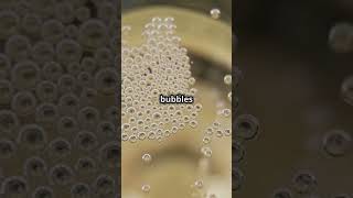 Nucleation How Bubbles and Ice Are Born facts scienceshorts [upl. by Ynnol]