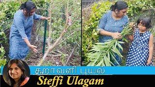 சூறாவளி புயல் in our Garden  Steffi Vlog in Tamil [upl. by Alol]