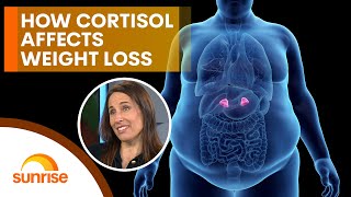 How to balance your cortisol to lose weight without exercise [upl. by Eibrad]