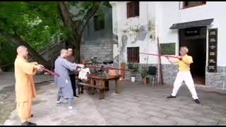 2 ° Part Luk Dim Poon Kwan lineage GM Tang Yik  Form performed by Sifu Michael Tang [upl. by Serdna623]