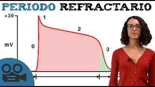 Qué es el periodo refractario y tipos [upl. by Enneirb]