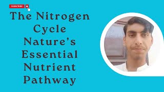 The Nitrogen Cycle Nature’s Essential Nutrient Pathway [upl. by Adnauqaj]