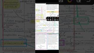 metabolisme des Phospholipide choline  sphingomyéline  céramide [upl. by Nirda]