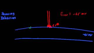 Shunting Inhibition [upl. by Ailimac]