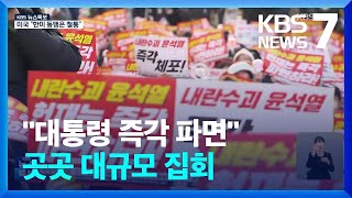 촛불행동 “즉각 파면해야”…헌재까지 도심 행진  KBS 20241215 [upl. by Narad709]