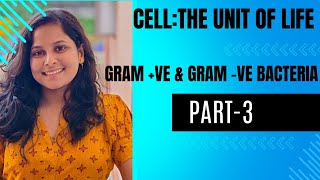 CellThe Unit Of Life Part3Types of Bacteria Gram ve amp Gram veCBSECHSEPGTSSC RAILWAY [upl. by Desireah323]