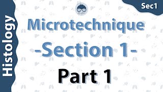 Histology  Microtechnique  part 1  Dr Amro Ashraf [upl. by Emirak]