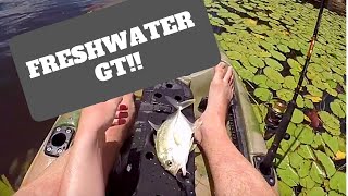 Catching Giant Trevally in FRESHWATER [upl. by Atteve]