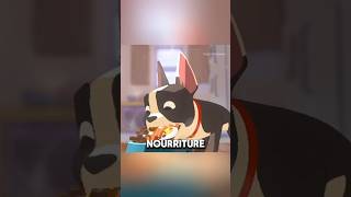 Ce chien ne mange que du FastFood 😏 shorts viral tiktok histoire [upl. by Ibbob]