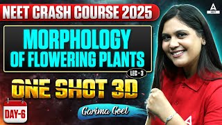 Morphology of Flowering Plants Class 11 One Shot  L3  NEET Crash Course 2025  Garima Goel [upl. by Ianthe915]